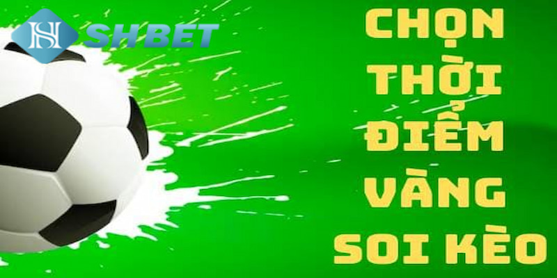 Banner www.arianerealestate.qa