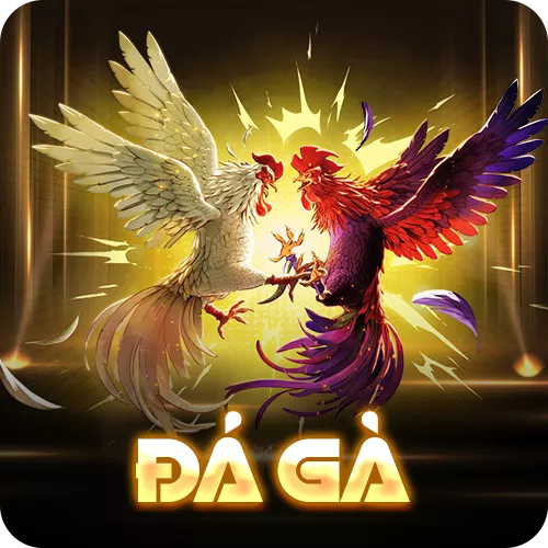 Banner www.arianerealestate.qa