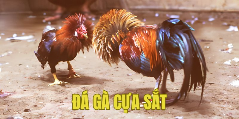 Banner www.arianerealestate.qa