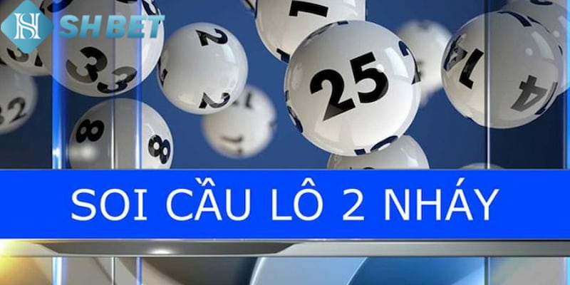 Banner www.arianerealestate.qa