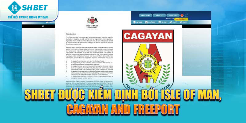 Banner www.arianerealestate.qa