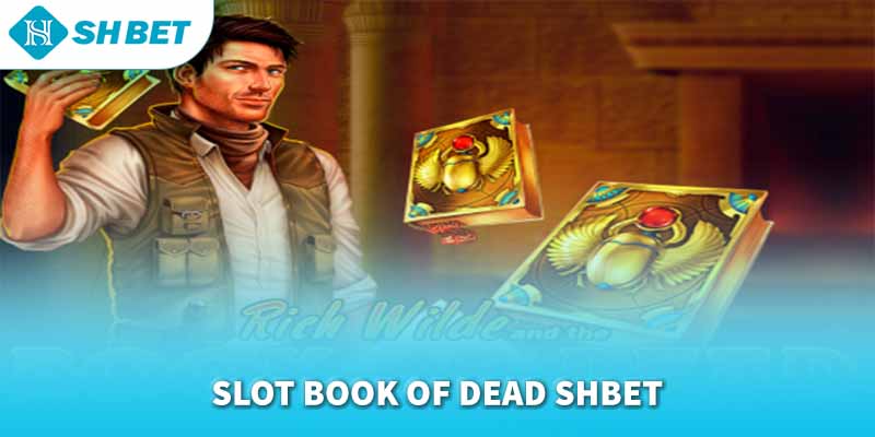 Banner www.arianerealestate.qa