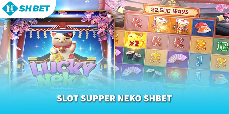 Banner www.arianerealestate.qa