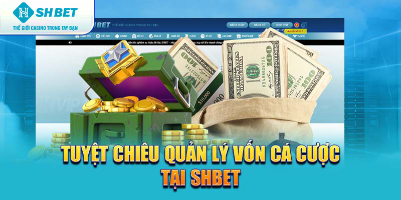 Banner www.arianerealestate.qa